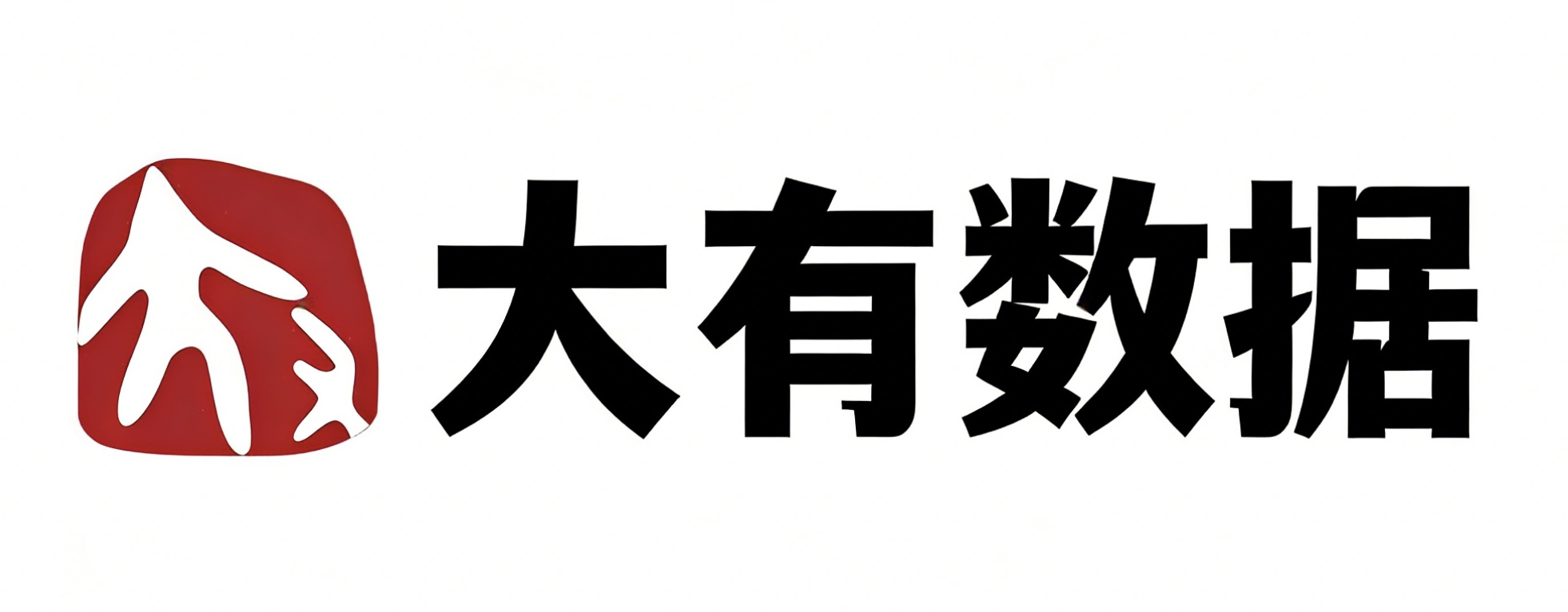 大有数据